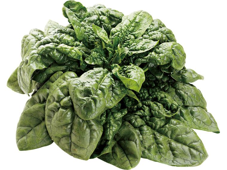 ちぢみほうれん草 200g