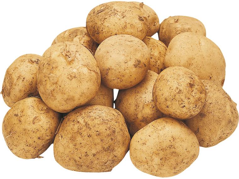 じゃがいも（大袋） 1.2kg