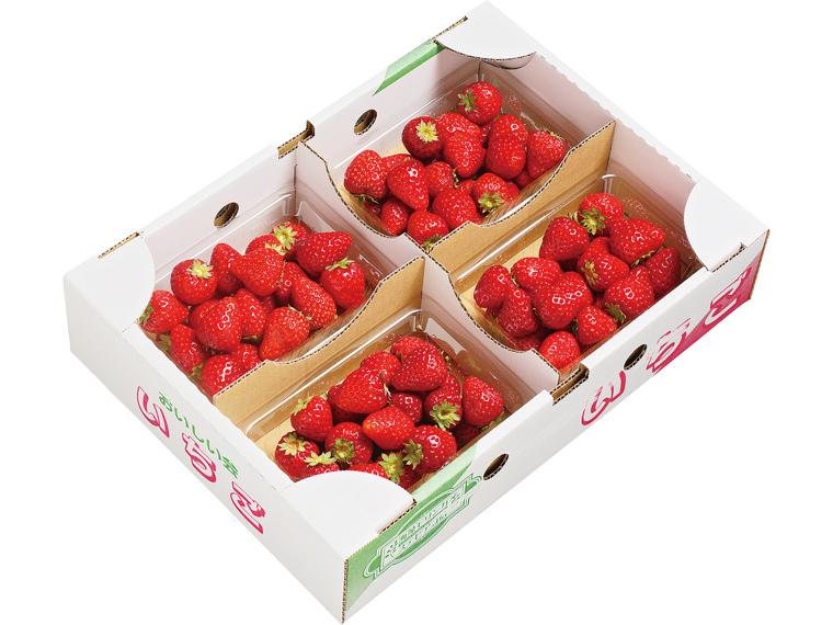 小粒いちご(とちあいか) 230g×4