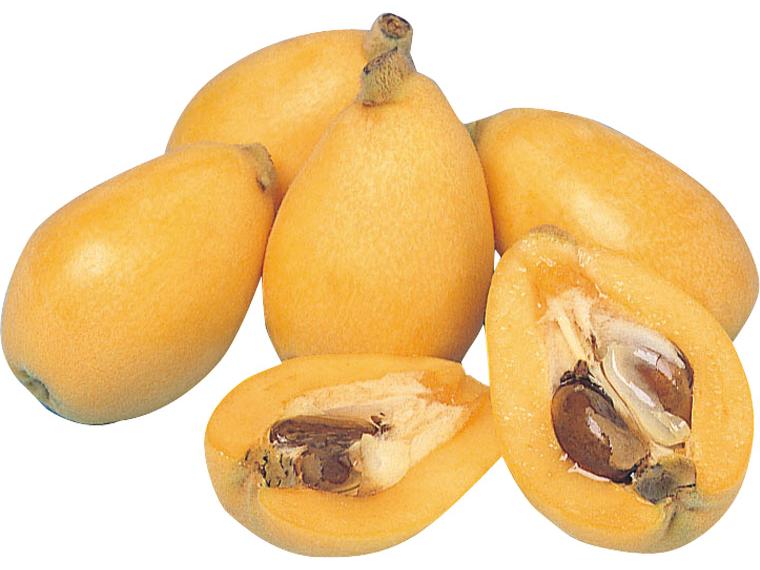 【企画中止】ハウス長崎びわ２５０ｇ（５～９玉） 250g（5〜9玉）