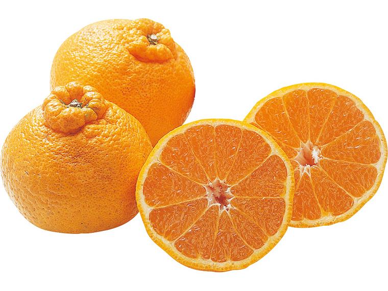 糖度保証　不知火（しらぬい） 700g（3〜4玉）（L〜3L）