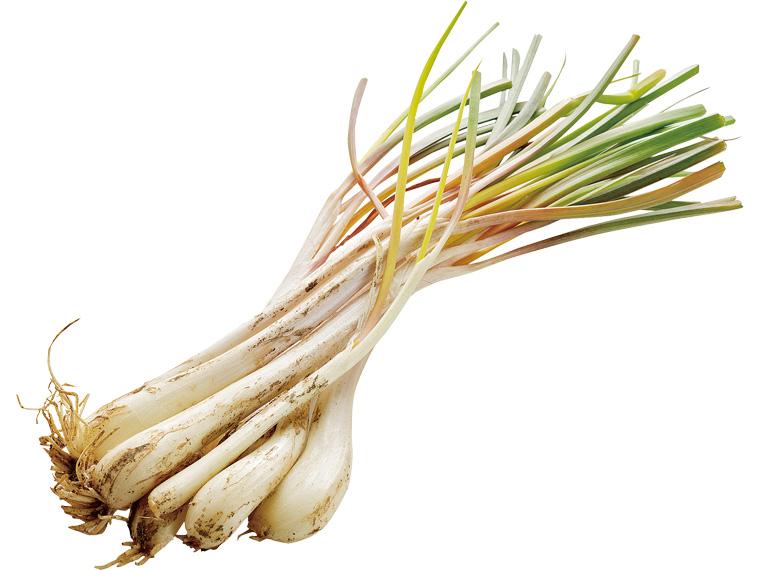 エシャレット 70g