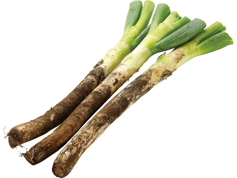 有機長ねぎ 350gｶｯﾄ