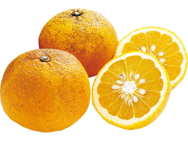 福岡自然農園の無無甘夏 1.2kg（サイズおまかせ）