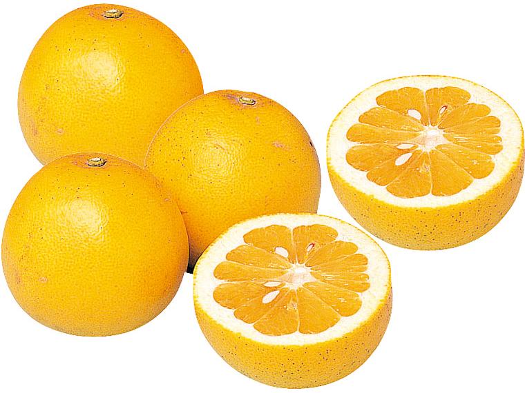 河内晩柑（大袋） 1.4kg（4〜6玉）（S〜2L）