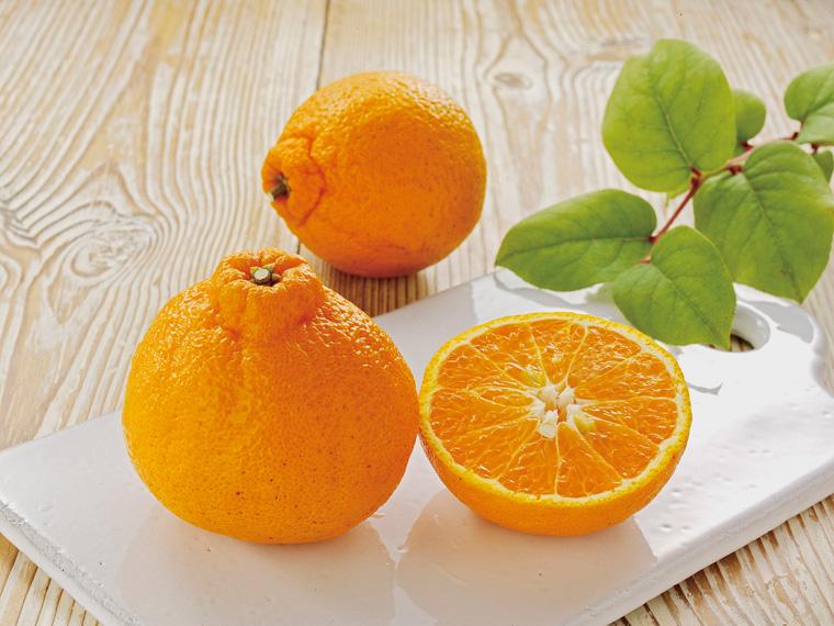 糖度保証　不知火（しらぬい） 700g（3〜4玉）（L〜2L）