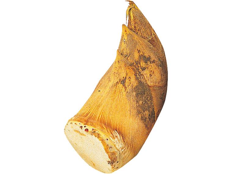 生たけのこ（米ぬか付） 700g（1〜3本）