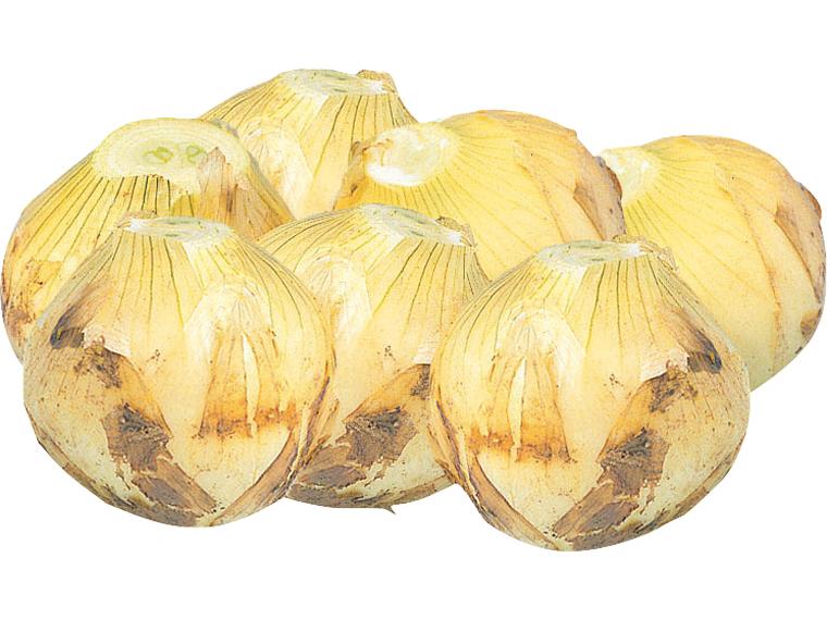 新玉ねぎ（大袋） 1kg