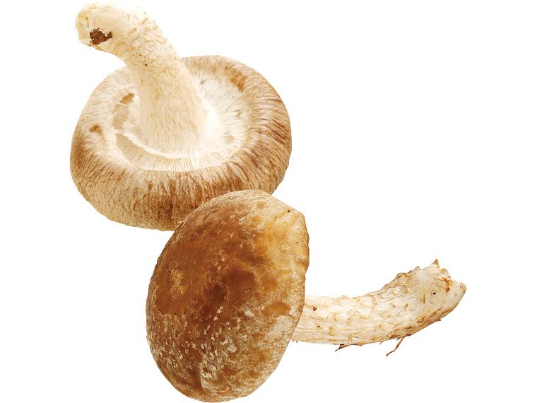 有機生しいたけ（菌床栽培） 60g（2L）