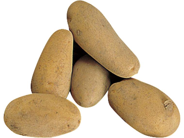 低温貯蔵じゃがいも（メークイン） 900g