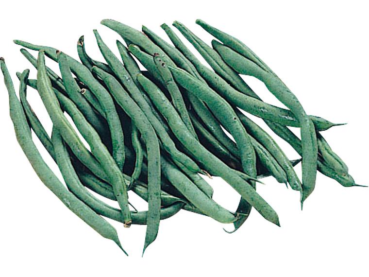 徳用いんげん 120g（曲がり込み）