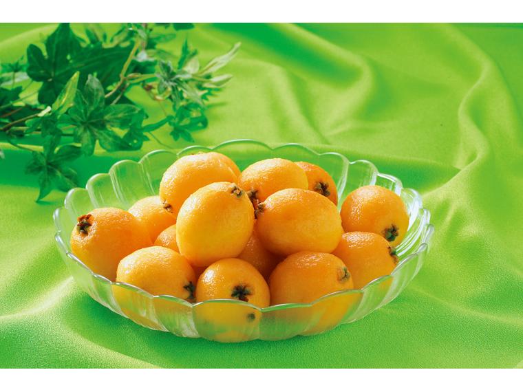 ハウス長崎びわ 250g（5〜9玉）