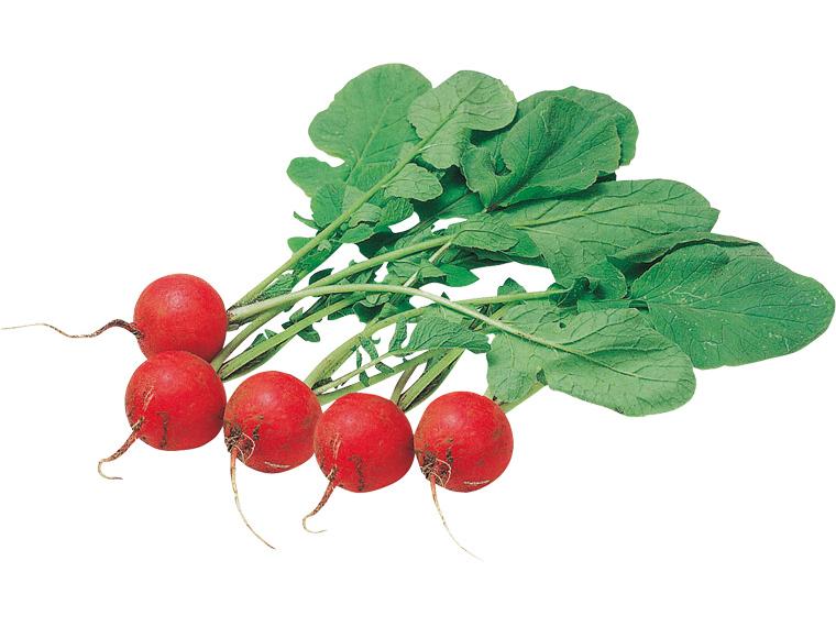 春の京都野菜便り 3種