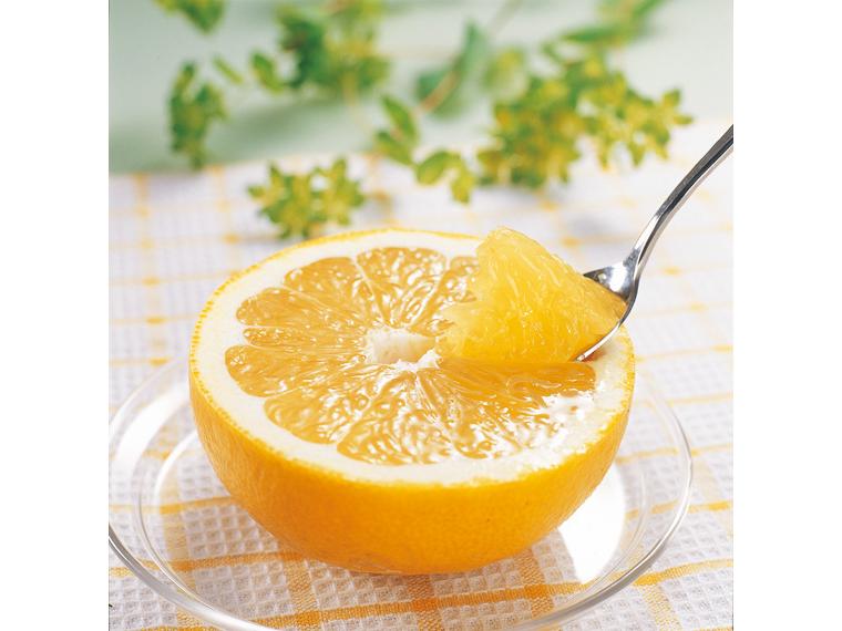 自宅　木成り河内晩柑（光センサー選別） 2.5kg(5〜9玉)（M〜2L）