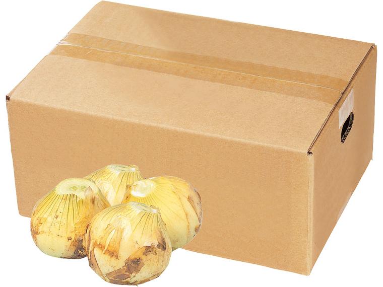 新玉ねぎ（箱規格） 3kg