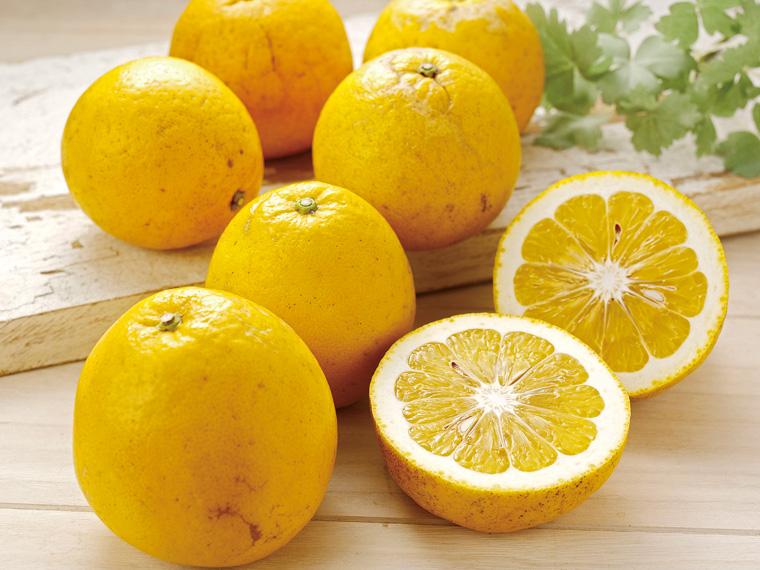 河内晩柑 700g（2〜3玉）（S〜2L）