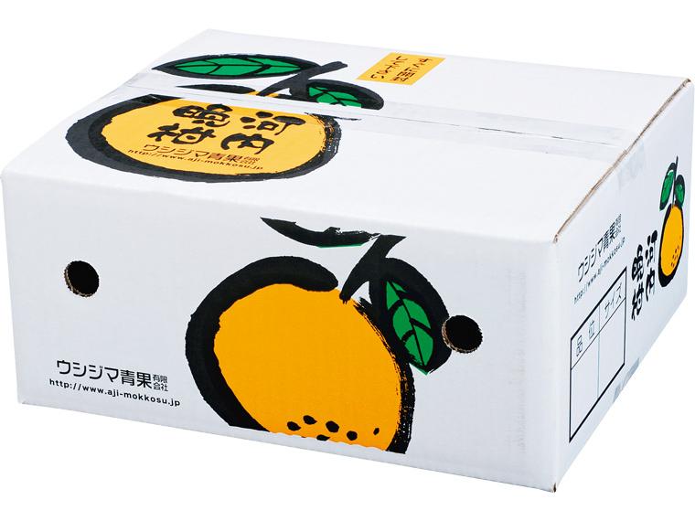 自宅　木成り河内晩柑（光センサー選別） 2.5kg(5〜9玉)（M〜2L）