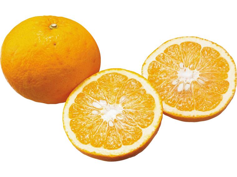 サンフルーツ 800g（2〜3玉）（M〜3L）