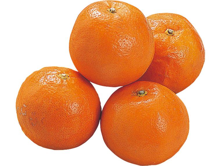 セミノール 600g（4〜6玉）（S〜2L）