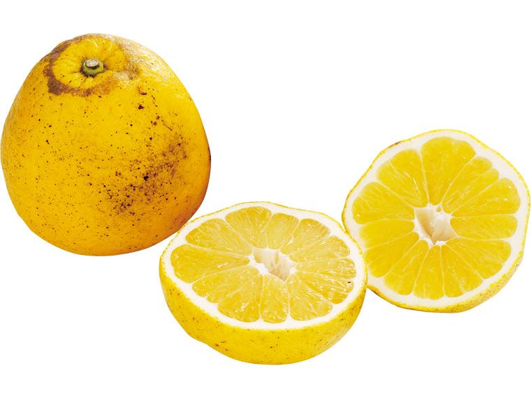 木成り大玉河内晩柑 2玉700g（3L〜4L）