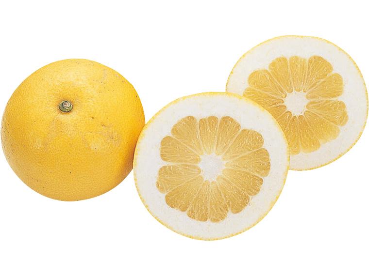 木成りパール柑（天草文旦） 800g（サイズおまかせ）