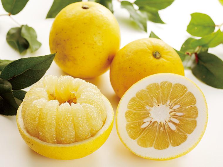 木成りパール柑（天草文旦） 800g（サイズおまかせ）