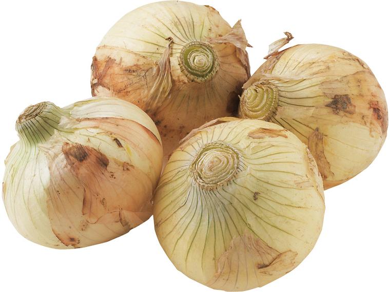 無無新玉ねぎ 500g