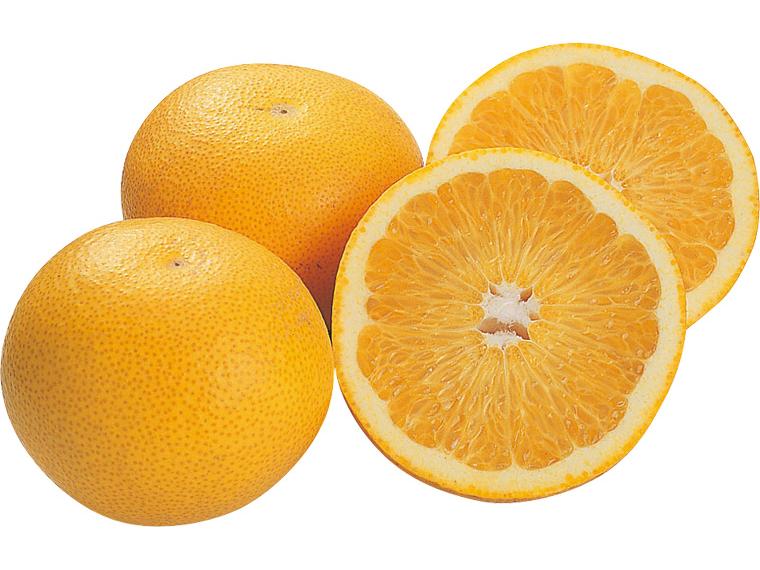 木成りはっさく 1kg（3〜4玉）（M〜3L）