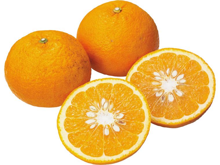 甘夏 800g（3〜5玉）（M〜3L）