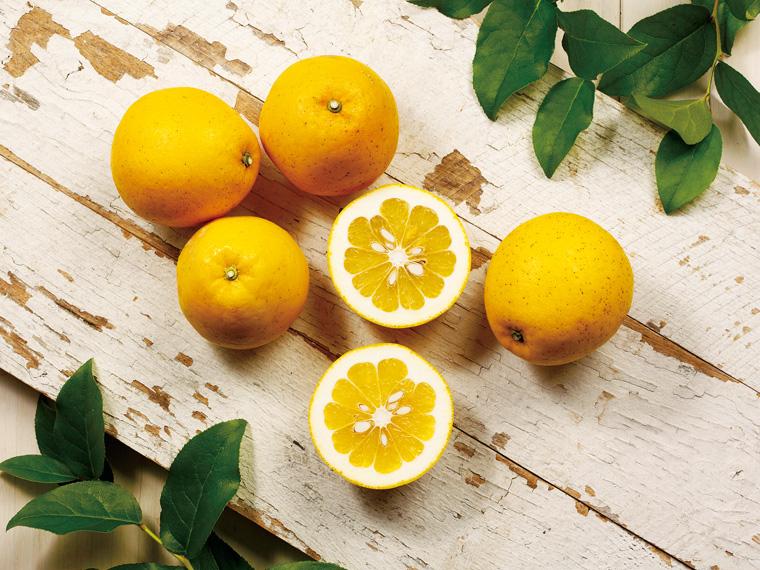 木成り河内晩柑（箱規格） 3kg箱（7〜13玉）（S〜2L）