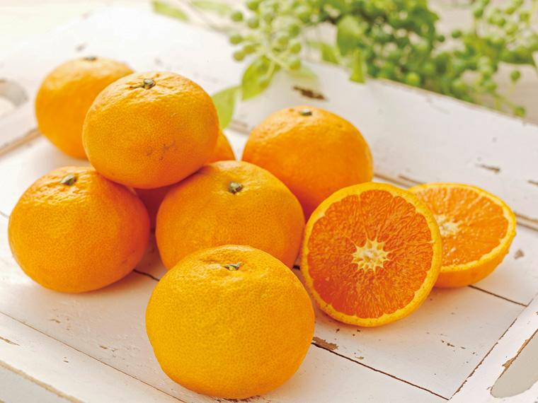 カラマンダリン 600g（4〜8玉）（S〜2L）