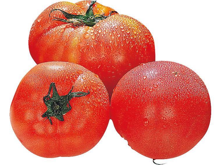 モグラのトマト 400g