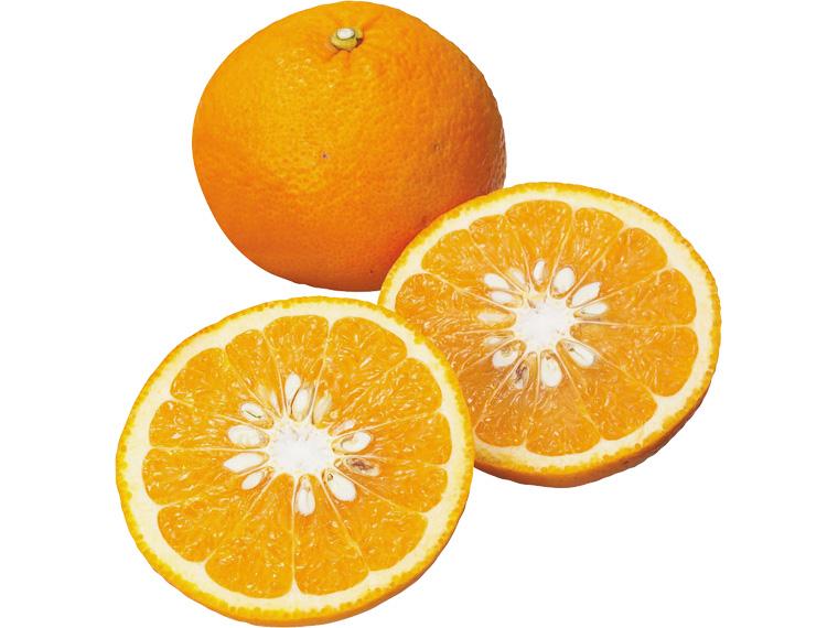 甘夏 800g（2〜4玉）（M〜3L）
