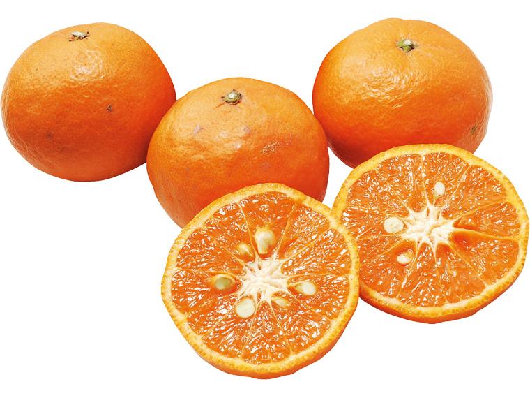 カラマンダリン 600g（4〜8玉）（2S〜2L）