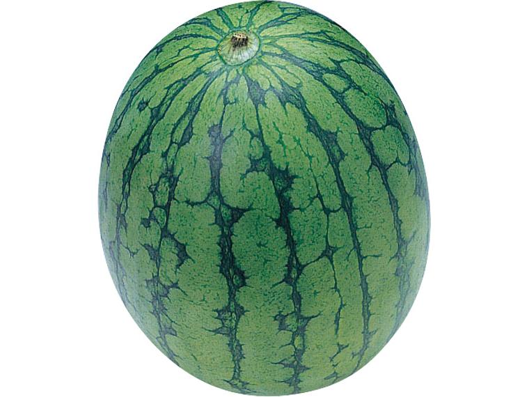 小玉すいか（小）１玉（９００ｇ）　　　