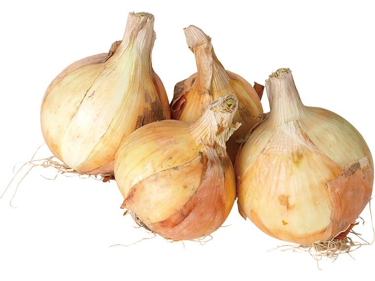米の精　根付き玉ねぎ 800g