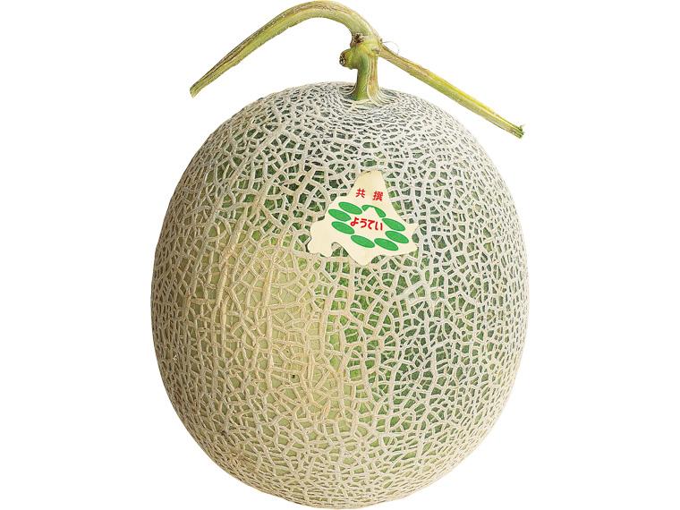 予約　北海道ようていメロン １玉（1.2kg）