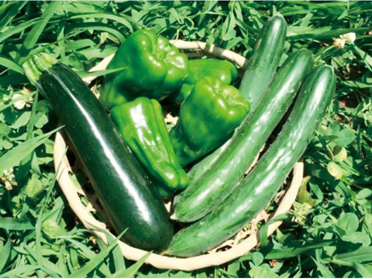 グットファームの有機野菜セット 3種