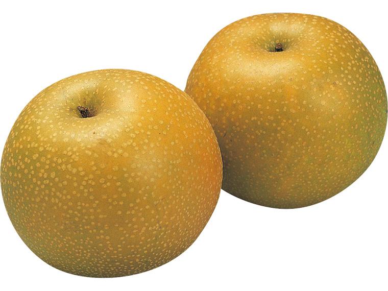 梨（幸水）２玉（６００ｇ）　　　　　　