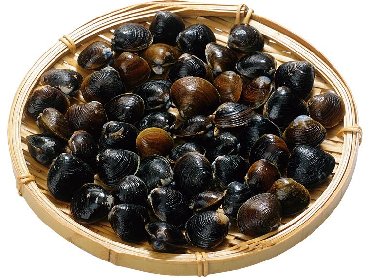 東都宍道湖産冷凍大和しじみ 160g