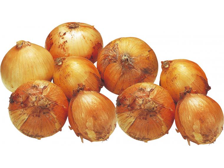 玉ねぎ（大袋）１ｋｇ　　　　　　　　　