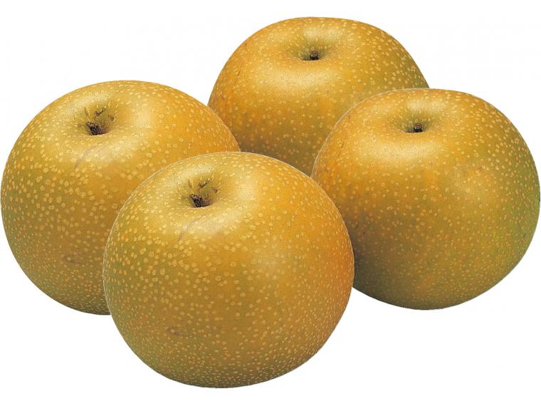 梨（幸水） 4玉（900g）