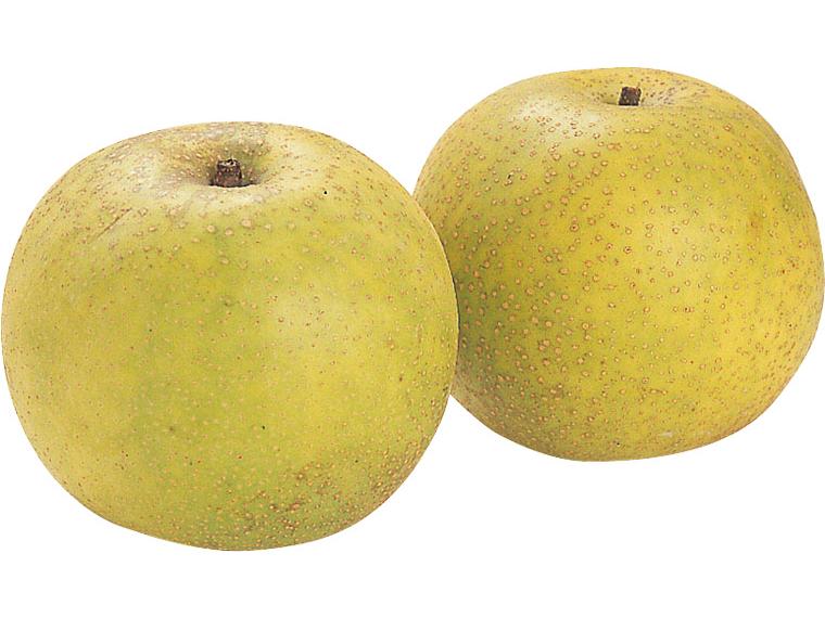 梨(サン世紀) 650g（2〜3玉）
