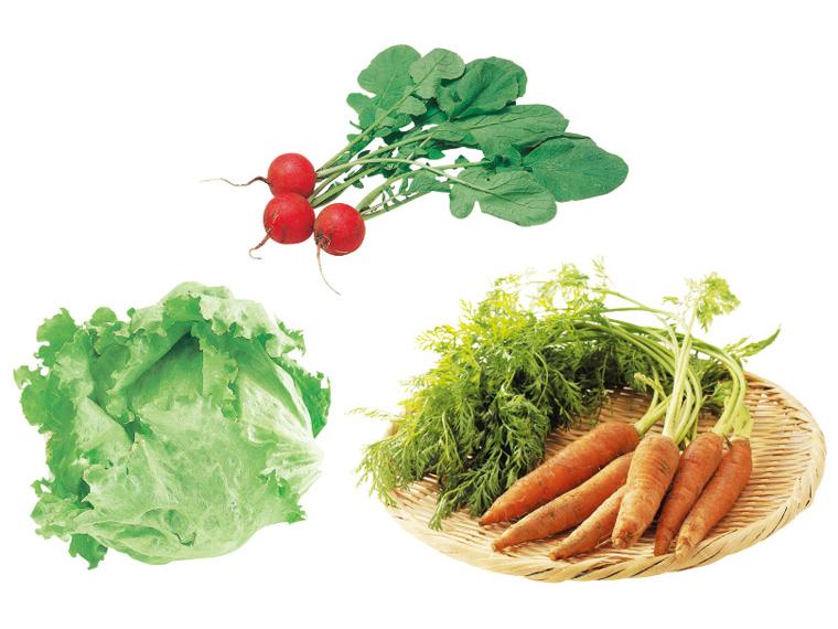 登録　皮ごと丸ごとやさとの有機野菜セット【全4回コース】（受付） 3種