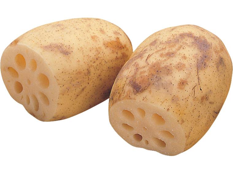 れんこん 300g