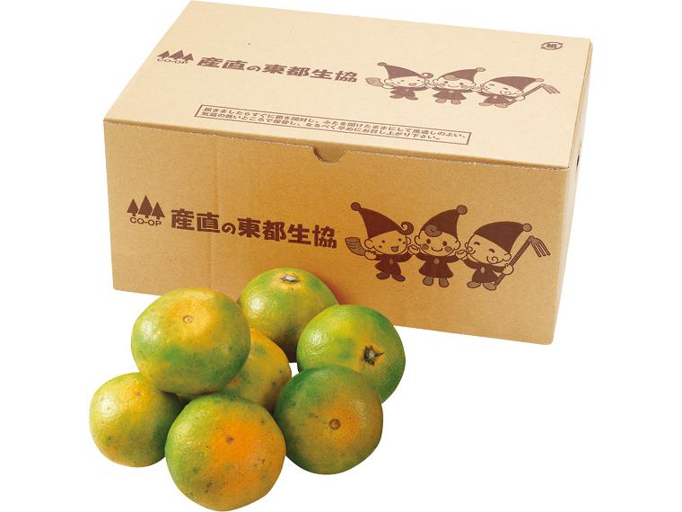 大矢野(熊本)極早生みかん（箱規格） 2.5kg箱（2S〜L）