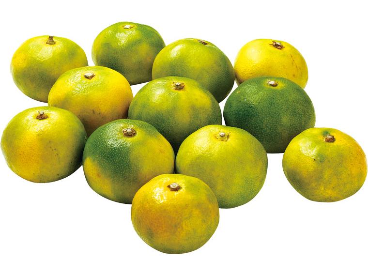 大矢野（熊本）極早生みかん（大袋） 1.2kg（2S〜L）