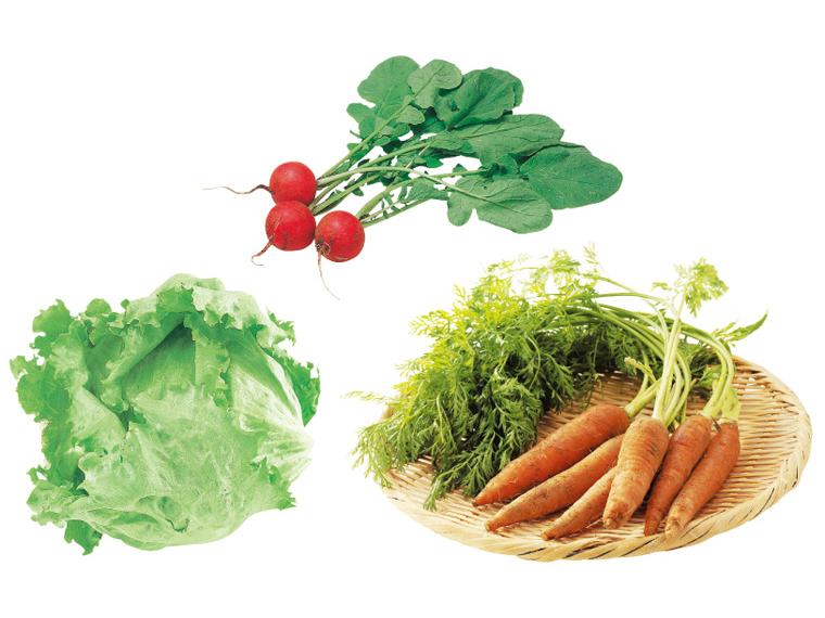 登録　皮ごと丸ごと有機野菜セット【15回】（受付） ３種