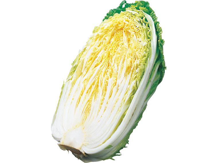 高原白菜 1/2株ｶｯﾄ