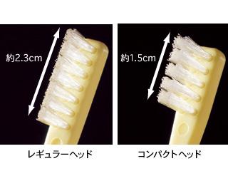 V-7 歯ブラシ 10本組   コンパクトヘッド